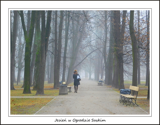 Warszawa. Jesienny Ogrd Saski