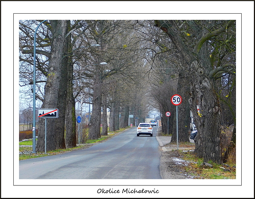 Okolice Michaowic. Aleja topolowa