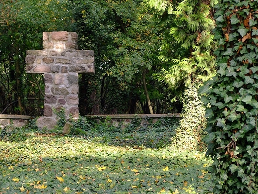 Kamienny krzy na poniemieckim cmentarzu.