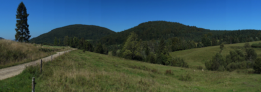 Beskid Niski w okolicy Regietowa.