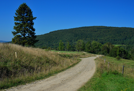 Beskid Niski w okolicy Regietowa.