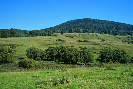 Widok na Beskid Niski z Regietowa.