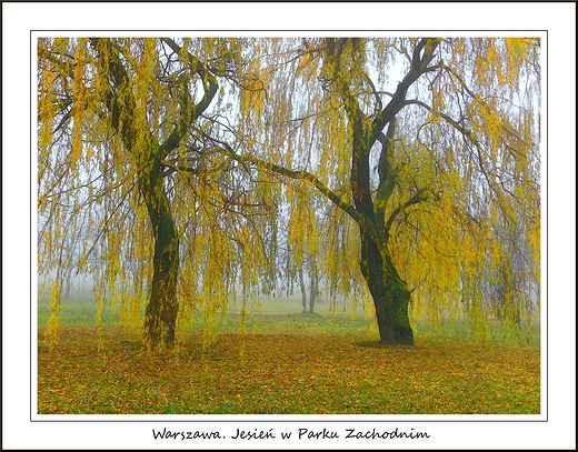 Warszawa. Jesie w Parku Zachodnim