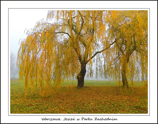 Warszawa. Jesie w Parku Zachodnim