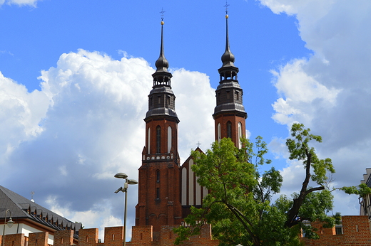 Opole - Katedra