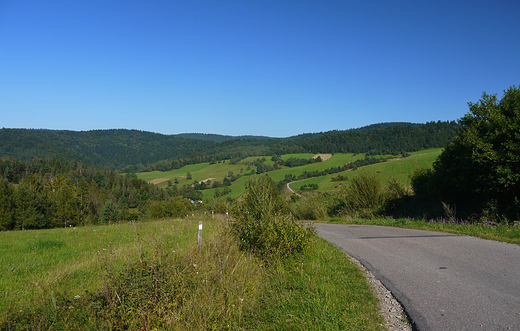 Beskid Niski w okolicach wsi Czarna.