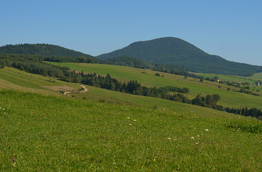 Lackowa -997 mnpm.- najwyszy szczyt Beskidu Niskiego widziany spod wsi Czarna.