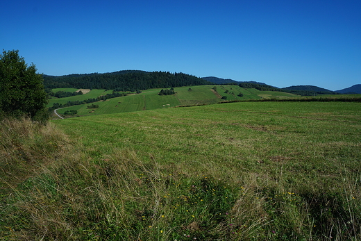 Beskid Niski widziany spod wsi Czarna.