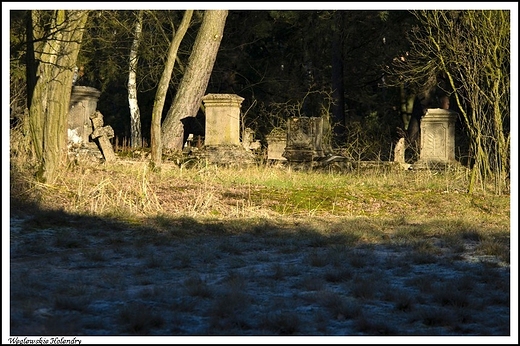 Wglewskie Holendry - stary cmentarz ewangelicko - augsburski na Kaczymce_ na szczscie zadbany