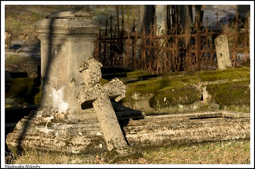 Wglewskie Holendry - stary cmentarz ewangelicko - augsburski na Kaczymce_ na szczscie zadbany