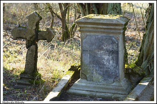 Wglewskie Holendry - stary cmentarz ewangelicko - augsburski na Kaczymce_ na szczcie zadbany