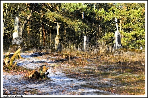 Wglewskie Holendry - stary cmentarz ewangelicko - augsburski na Kaczymce_ na szczcie zadbany