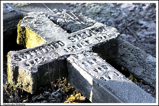 Wglewskie Holendry - stary cmentarz ewangelicko - augsburski na Kaczymce_ na szczcie zadbany