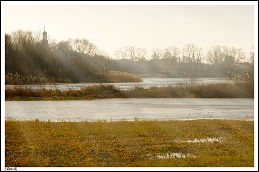 Sawsk - nad brzegiem Warty w porannym grudniowym socu