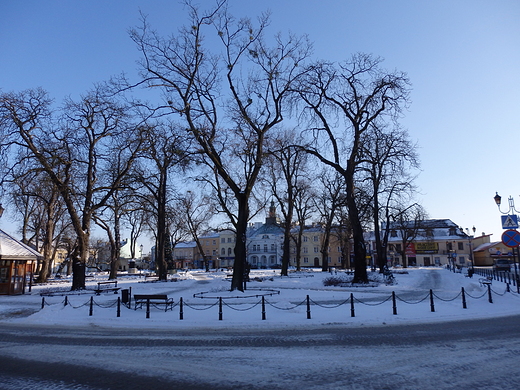 Rynek