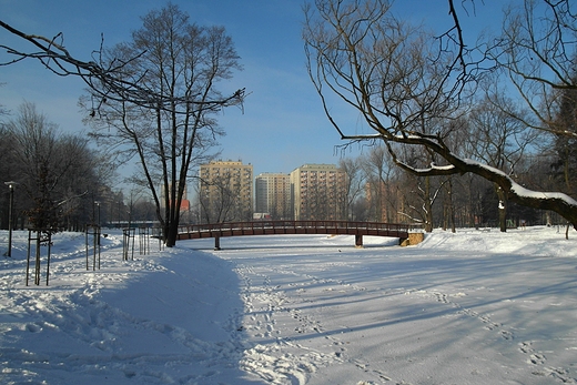 Zimowy park