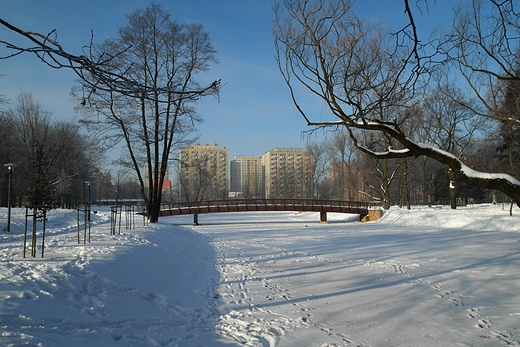 Zimowy park