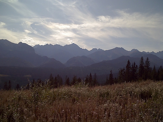 Bukowina Tatrzaska - widok na Tatry