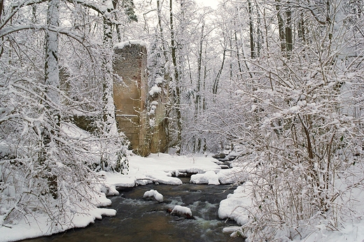 Roztocze. Ruiny papierni w zimowej szacie.