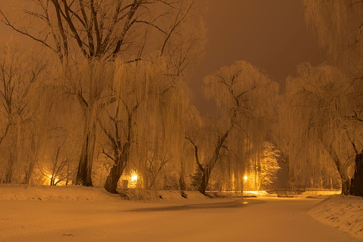Łęczycki Park w zimowej szacie