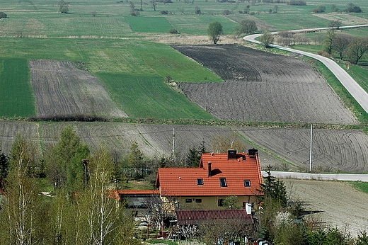 Skowronno - dolina nad Nid