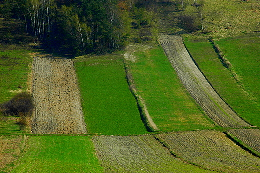 Bogucice - na wzgrzach zbrzaskich