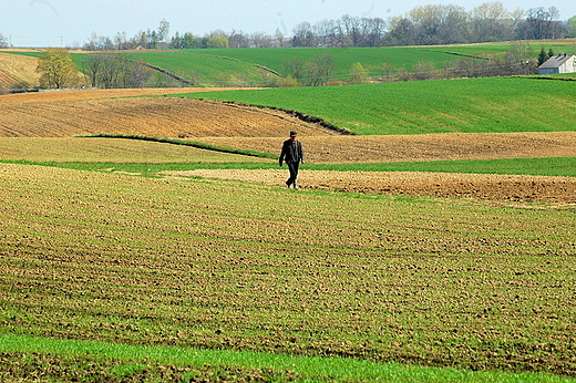 Droejowice - droga przez pola