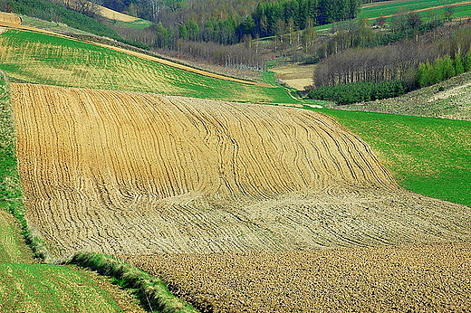 Lubcza - pola