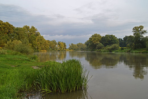 Zdzieszowice - nad odr