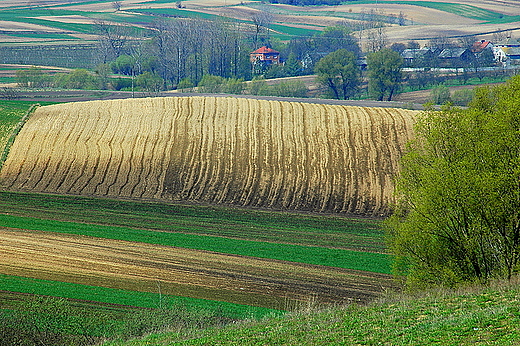 Proboowice - pejza ponidziaski