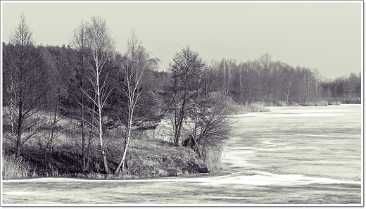 Zima nad stawem