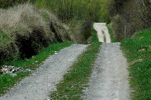 Proboowice - droga do wsi