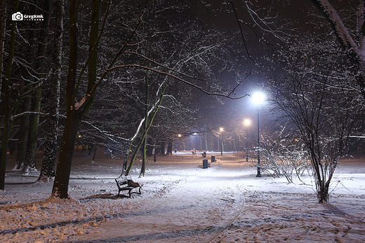 Kaliski Park w zimowej scenerii vol.2