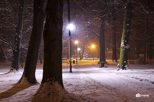 Kaliski Park w zimowej scenerii vol.3