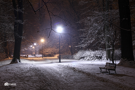 Kaliski Park w zimowej scenerii vol.4