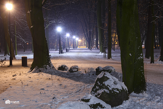 Kaliski Park w zimowej scenerii vol.5