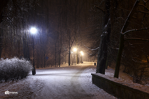 Kaliski Park w zimowej scenerii vol.6