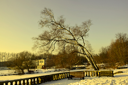 Park lski zim.