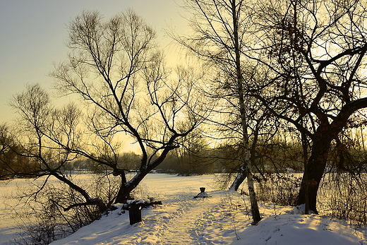 Park lski zim.