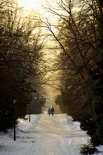 Park lski zim.