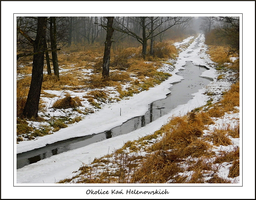 Okolice Ka Helenowskich. Zimna Woda zwana Mrwk