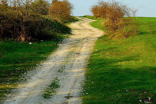 Woszczowice - bezdroa