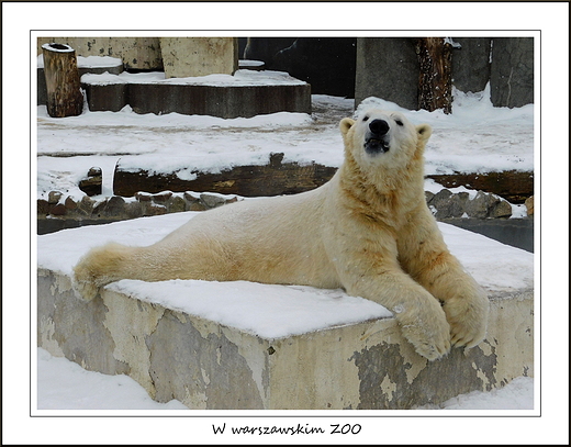 W warszawskim ZOO