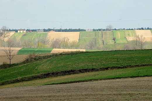 Jadowniki - na polach