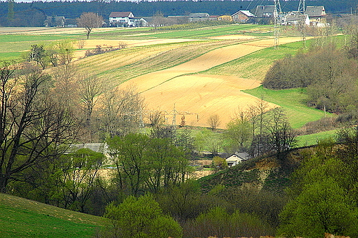 Jadowniki - pola i zagrody