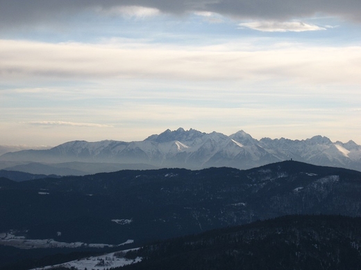 Tatry z Mogielicy