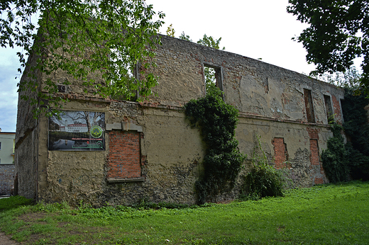 Strzelce Opolskie - Ruiny zamku