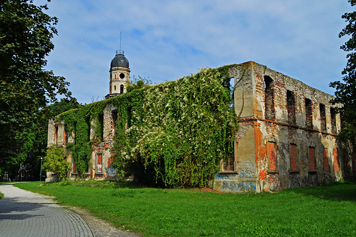 Strzelce Opolskie - Ruiny zamku