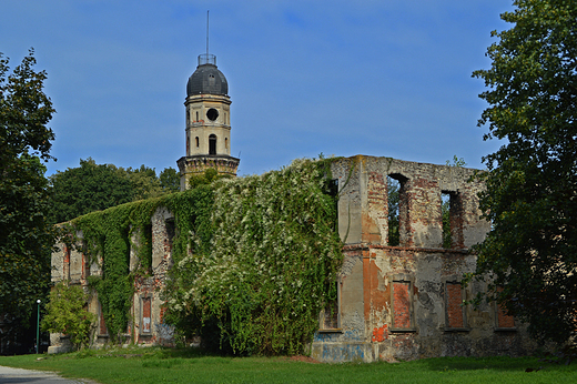 Strzelce Opolskie - Ruiny zamku