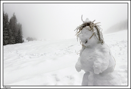 Zakopane - Dolina Kopieniec zasnuta mg